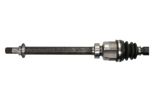 Pusašis PASCAL G2R195PC