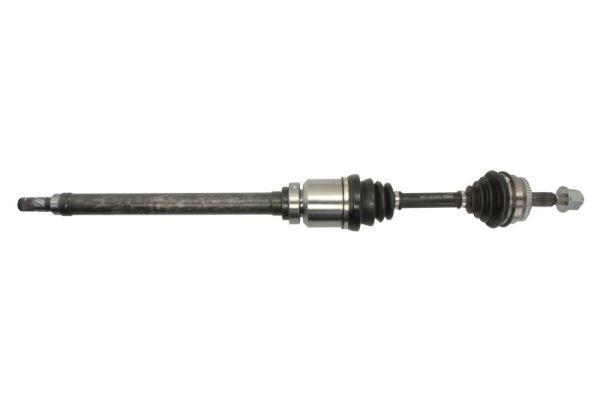 Pusašis PASCAL G2V001PC