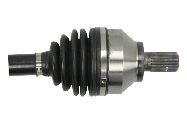 Pusašis PASCAL G2V006PC