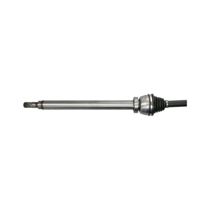 Pusašis PASCAL G2V008PC