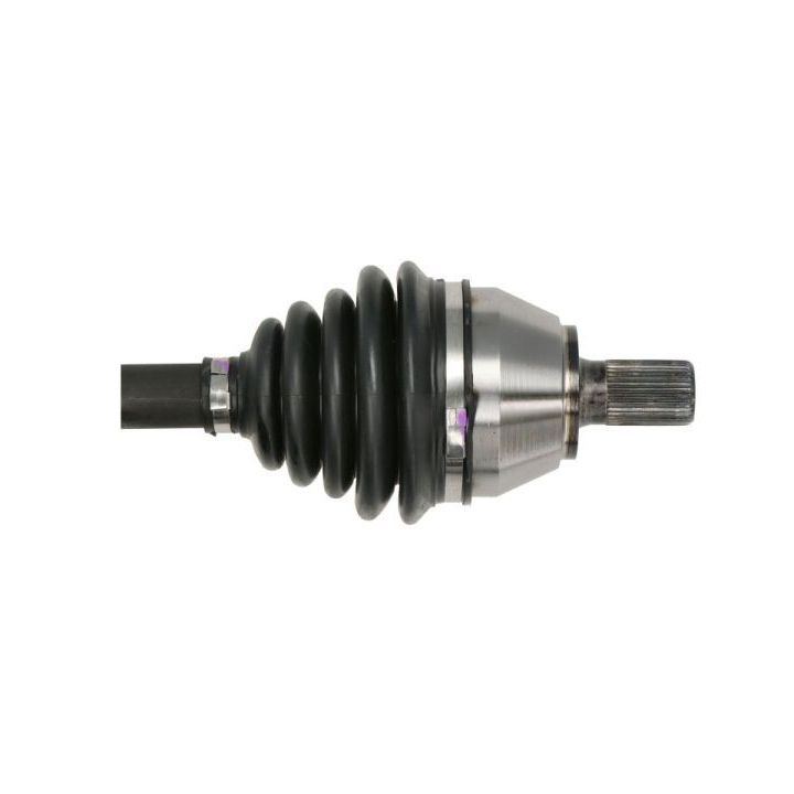 Pusašis PASCAL G2V010PC