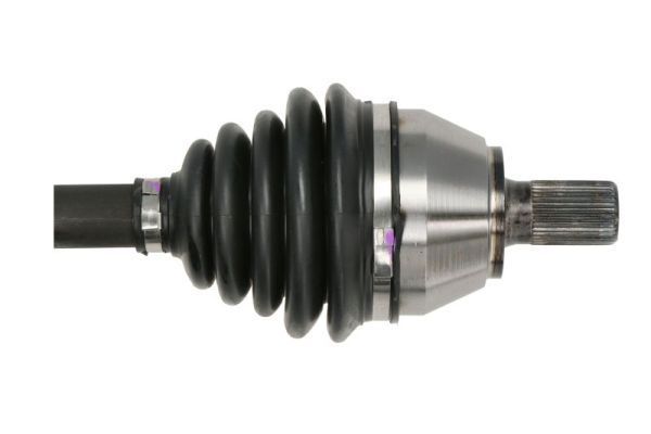 Pusašis PASCAL G2V010PC