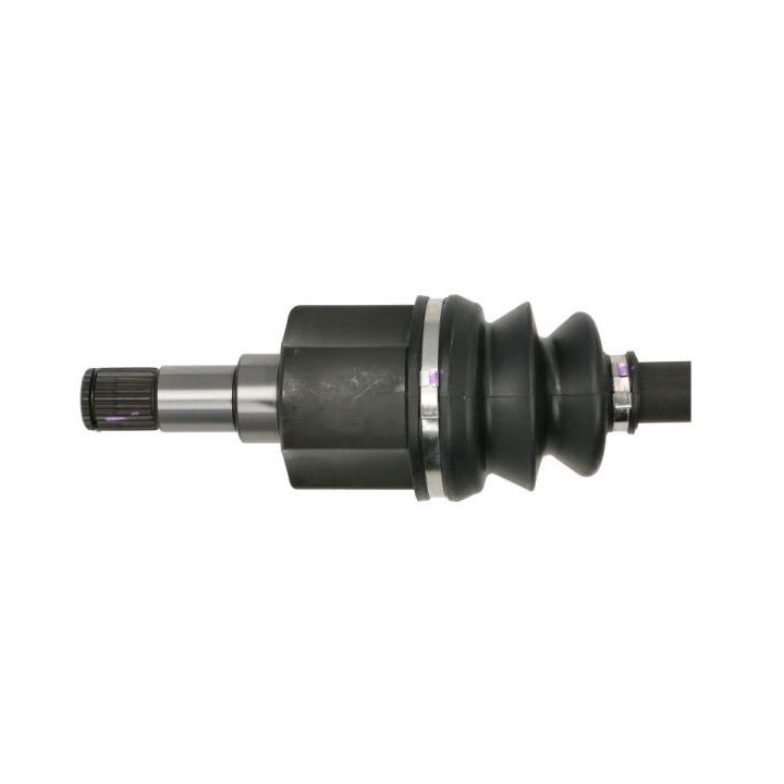 Pusašis PASCAL G2V010PC