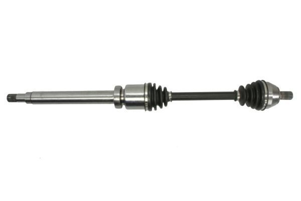 Pusašis PASCAL G2V011PC