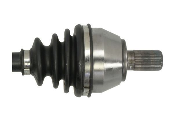 Pusašis PASCAL G2V011PC
