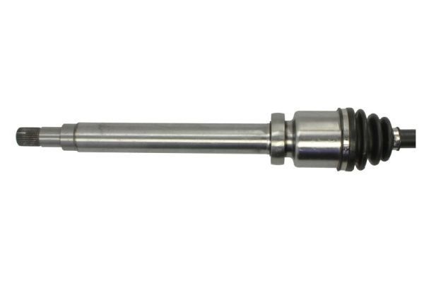 Pusašis PASCAL G2V011PC