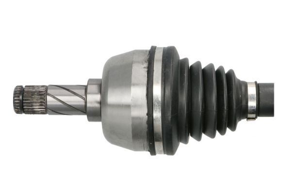 Pusašis PASCAL G2V017PC
