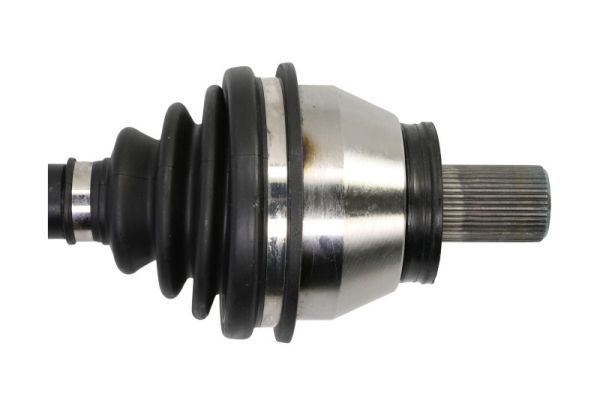 Pusašis PASCAL G2V031PC