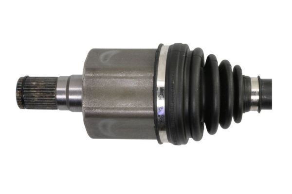 Pusašis PASCAL G2V031PC