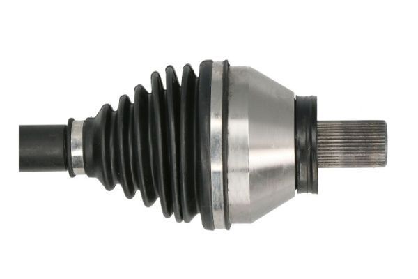 Pusašis PASCAL G2V032PC