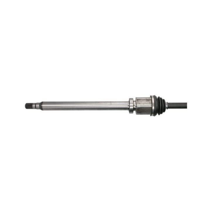Pusašis PASCAL G2V032PC