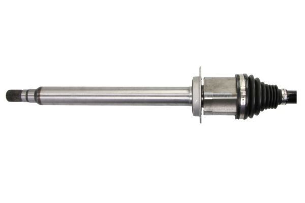 Pusašis PASCAL G2V036PC