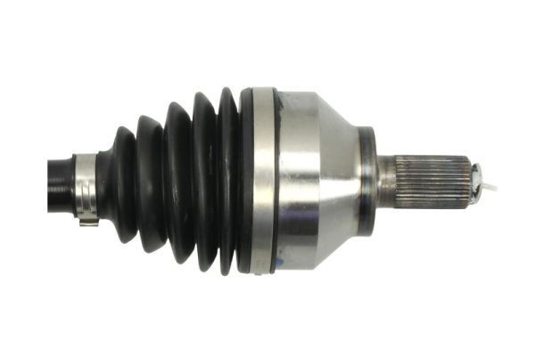 Pusašis PASCAL G2V043PC