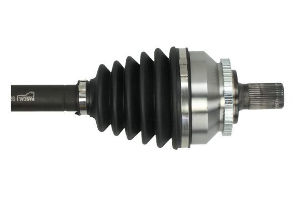 Pusašis PASCAL G2V049PC