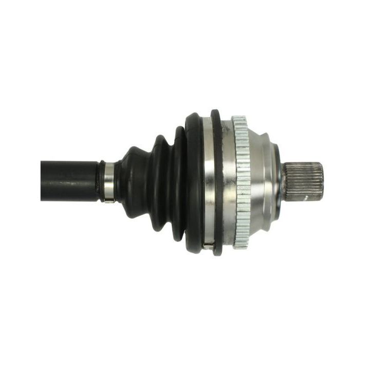 Pusašis PASCAL G2W001PC