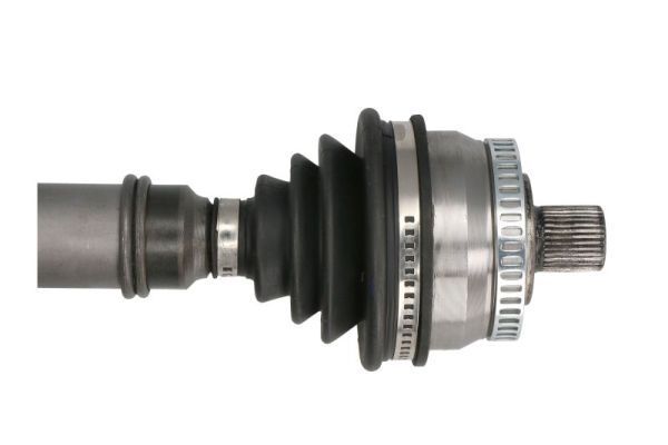 Pusašis PASCAL G2W016PC