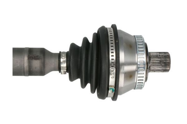 Pusašis PASCAL G2W019PC