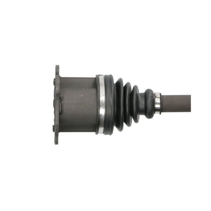 Pusašis PASCAL G2W032PC
