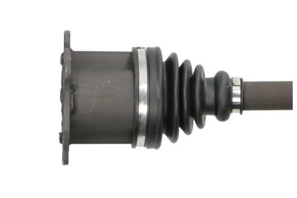 Pusašis PASCAL G2W032PC