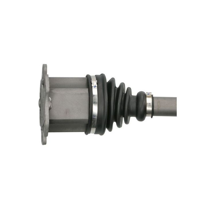 Pusašis PASCAL G2W033PC