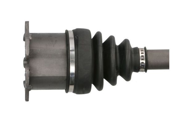 Pusašis PASCAL G2W034PC