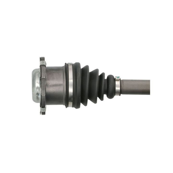Pusašis PASCAL G2W038PC