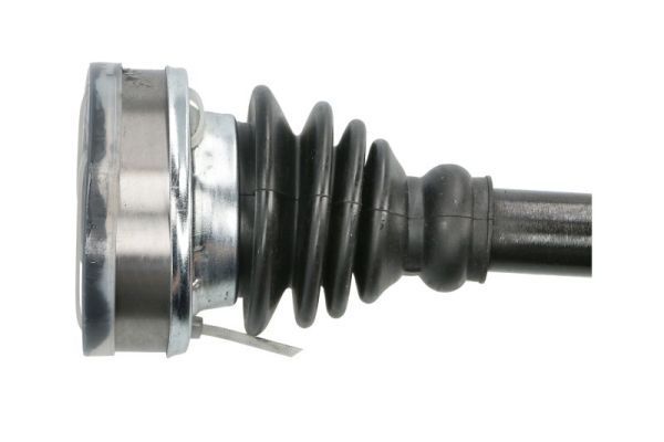 Pusašis PASCAL G2W044PC