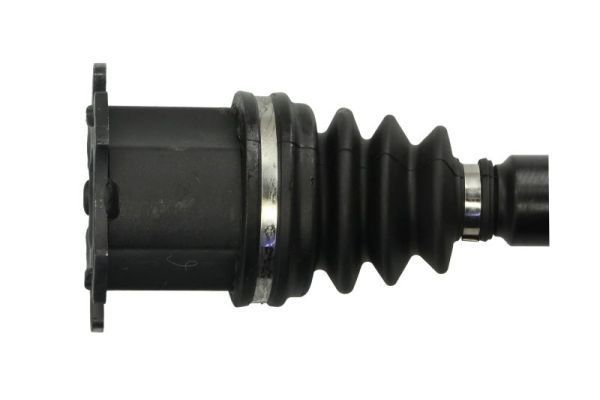 Pusašis PASCAL G2W046PC