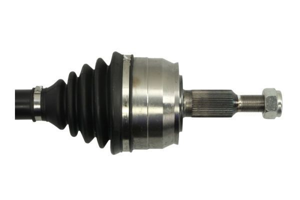 Pusašis PASCAL G2W054PC
