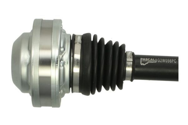Pusašis PASCAL G2W056PC