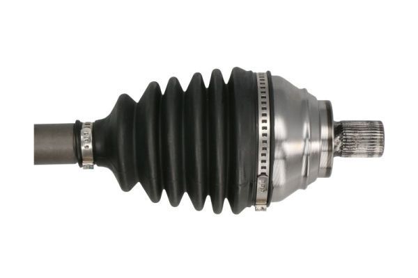 Pusašis PASCAL G2W061PC