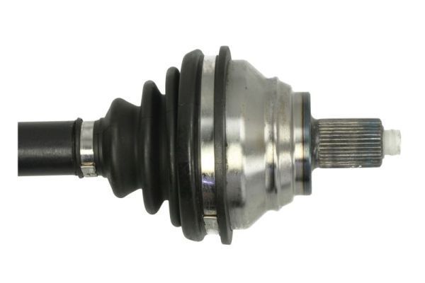 Pusašis PASCAL G2W062PC