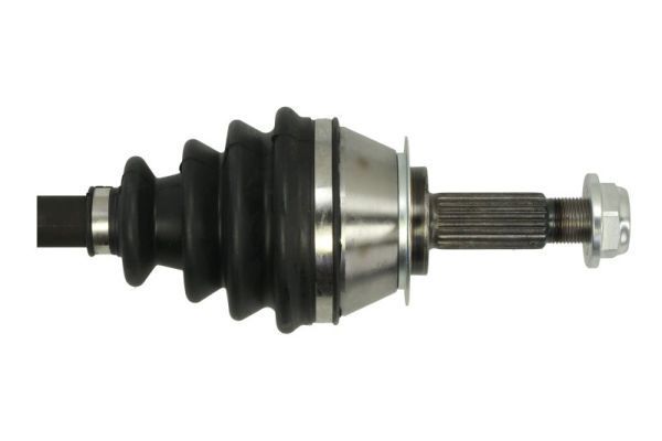 Pusašis PASCAL G2W067PC