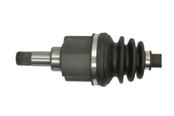 Pusašis PASCAL G2W067PC