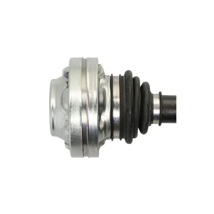 Pusašis PASCAL G2W069PC