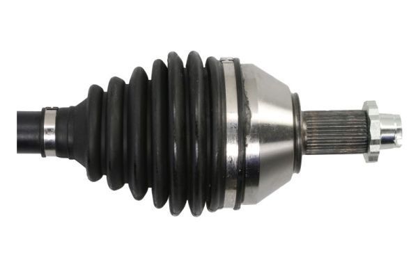 Pusašis PASCAL G2W079PC