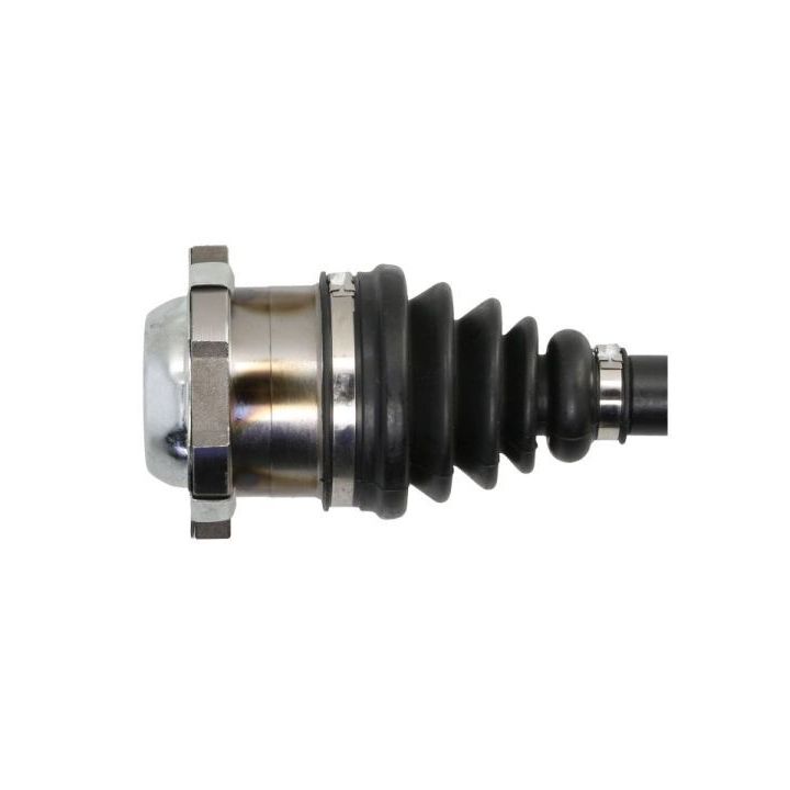 Pusašis PASCAL G2W079PC