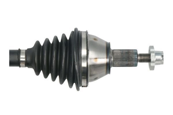 Pusašis PASCAL G2W081PC