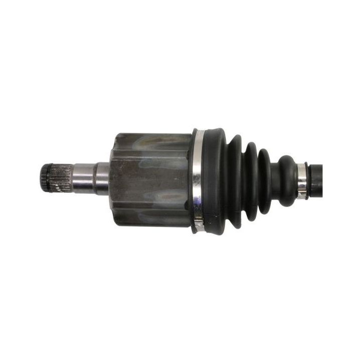Pusašis PASCAL G2W083PC
