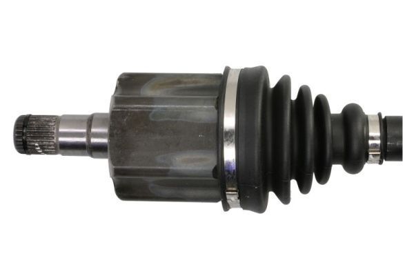 Pusašis PASCAL G2W083PC