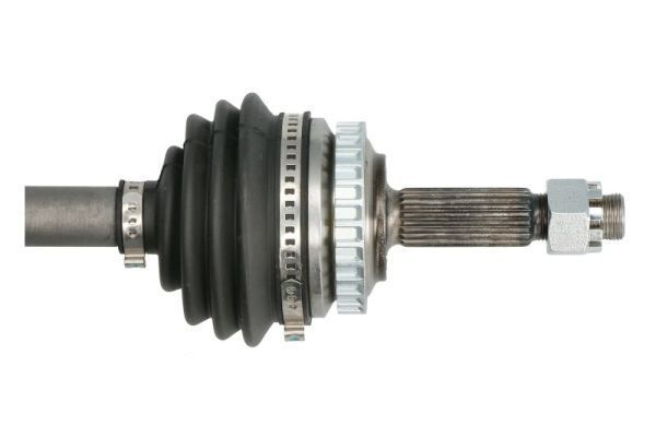 Pusašis PASCAL G2X006PC