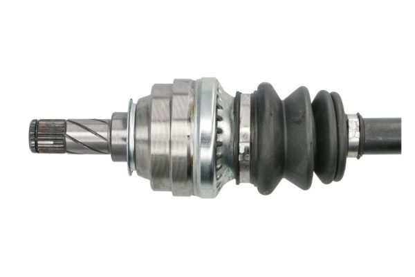 Pusašis PASCAL G2X011PC