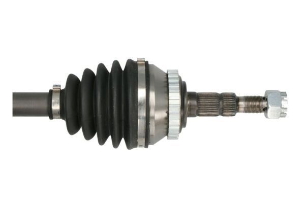 Pusašis PASCAL G2X012PC