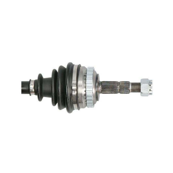 Pusašis PASCAL G2X013PC