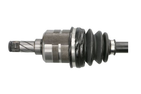 Pusašis PASCAL G2X013PC