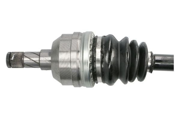 Pusašis PASCAL G2X016PC