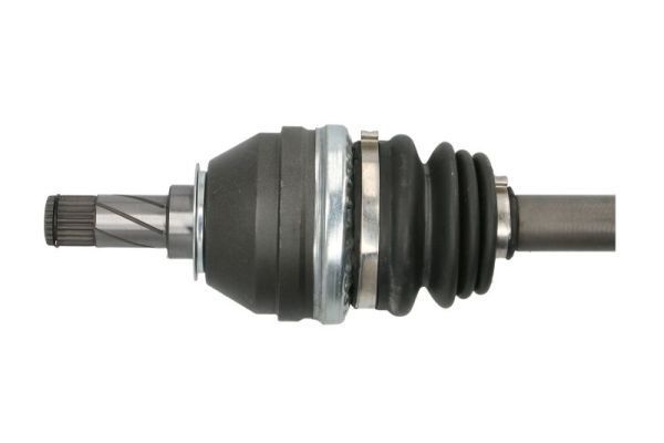 Pusašis PASCAL G2X023PC