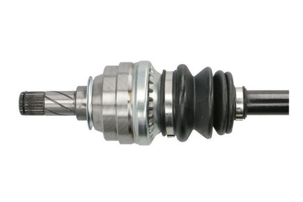 Pusašis PASCAL G2X024PC