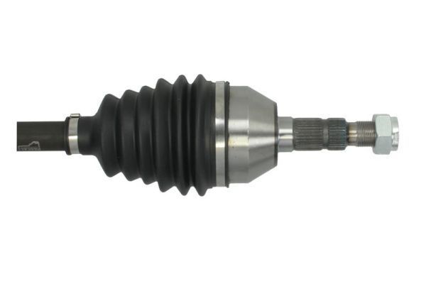 Pusašis PASCAL G2X029PC