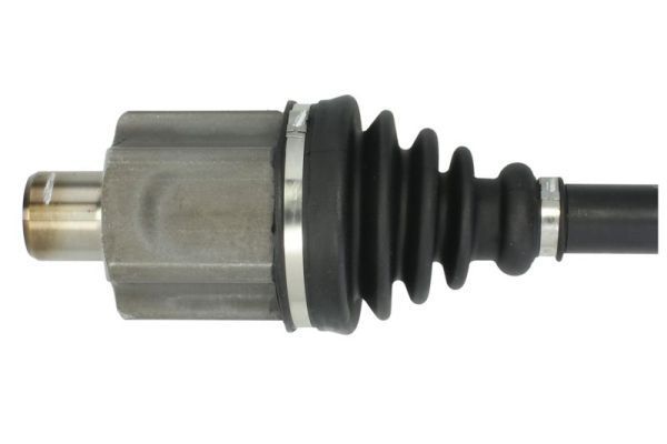 Pusašis PASCAL G2X030PC